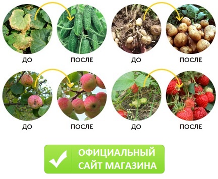 Bio Grow органическое удобрение